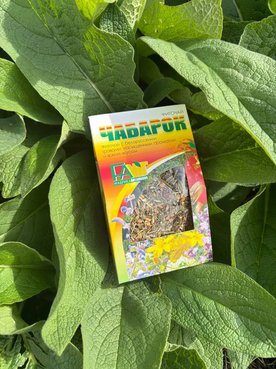 Чай Чабарок